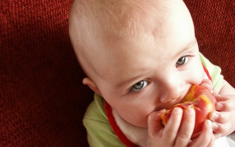 Baby Led Weaning, Alternatif Makanan Pendamping Asi