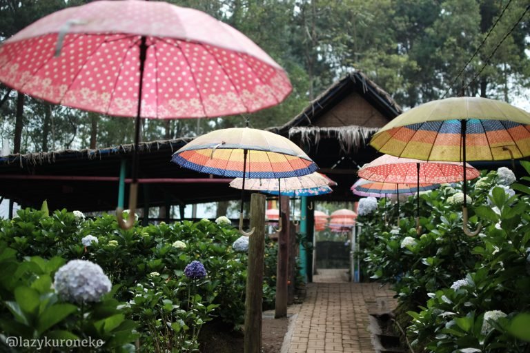 Coban Talun, Satu Wisata Alam Dengan Beragam Tema