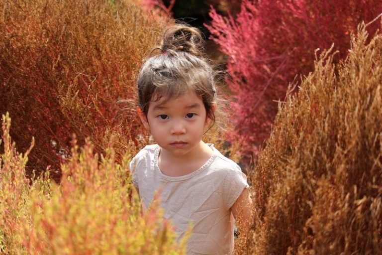 Tour Korea Murah Menuju Merahnya Kokia Di Yangju Nari Park