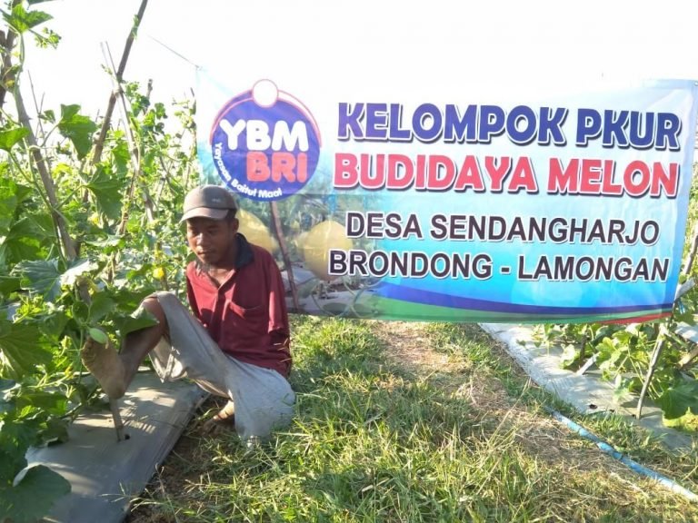 Wujudkan Mimpi Kemandirian Ekonomi Kaum Disabilitas Melalui PKUR YBM BRI