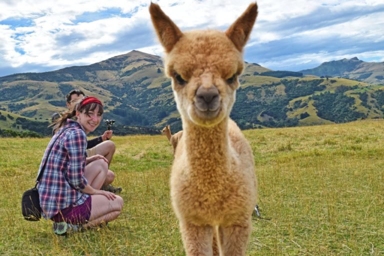 Berlibur ke New Zealand? 3 Lokasi Ini Wajib Dikunjungi