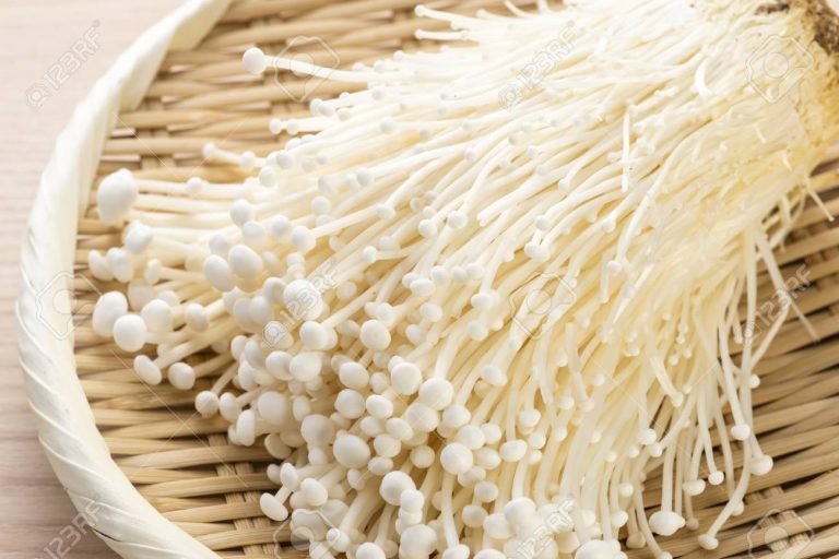 Jamur Enoki Ditarik dari Peredaran, Ada Apa?