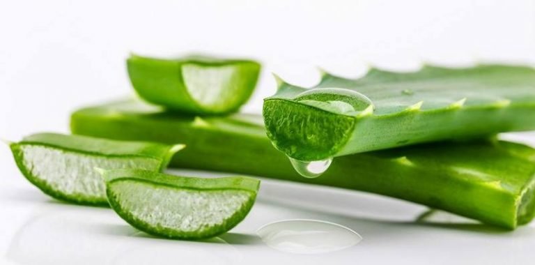 Aloe Vera dan Manfaatnya untuk Kecantikan