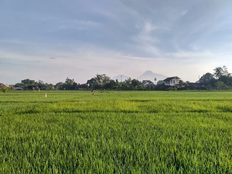 Spot Wisata Alam Jogja Yang Anti Mainstream